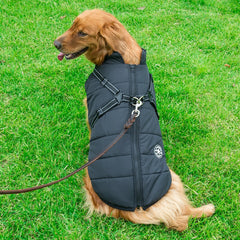 ntegrated Cotton Vest for Dogs