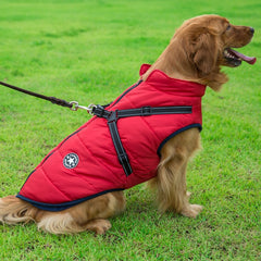 ntegrated Cotton Vest for Dogs