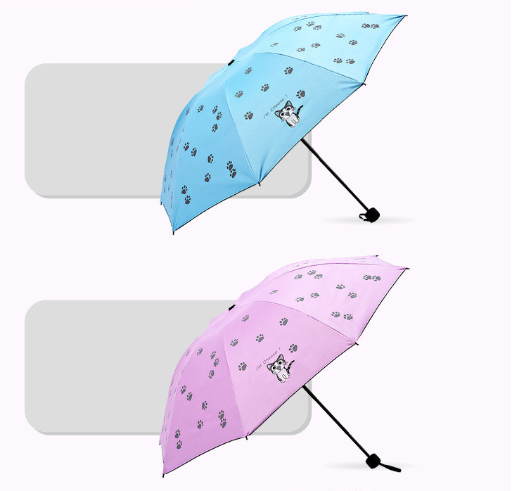 Girls Umbrellas Cartoon Cats Printed