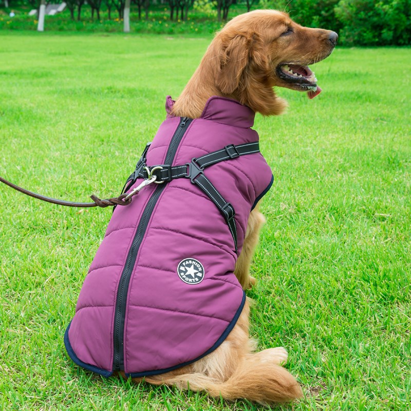 ntegrated Cotton Vest for Dogs