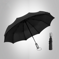 Wind-Resistant Automatic Umbrella