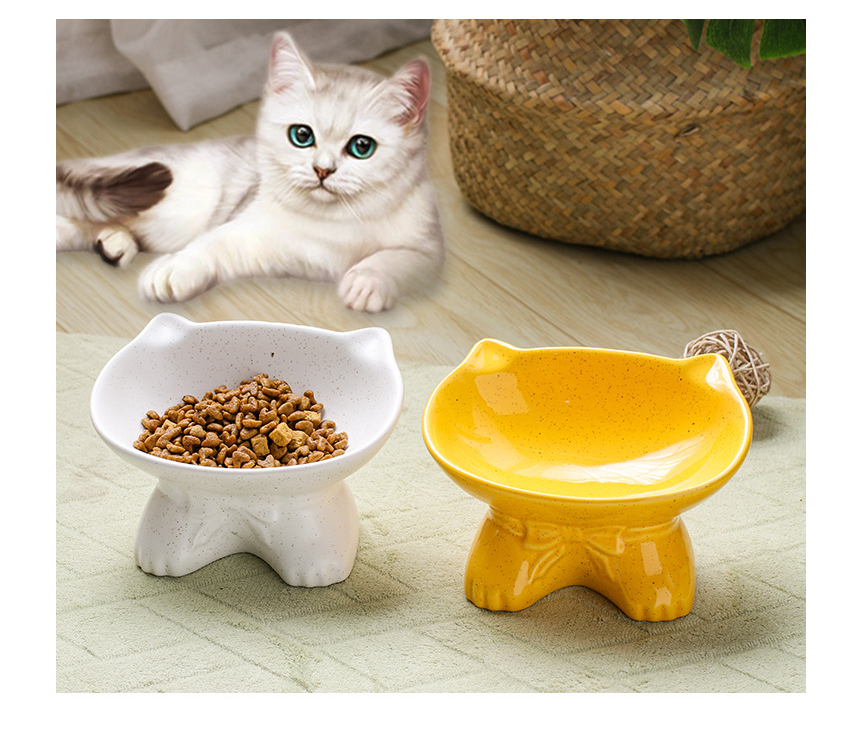 Anti - upset pet bowl