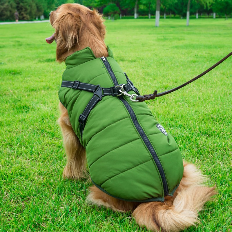 ntegrated Cotton Vest for Dogs