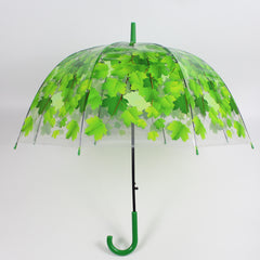 Long Handle Transparent Umbrella